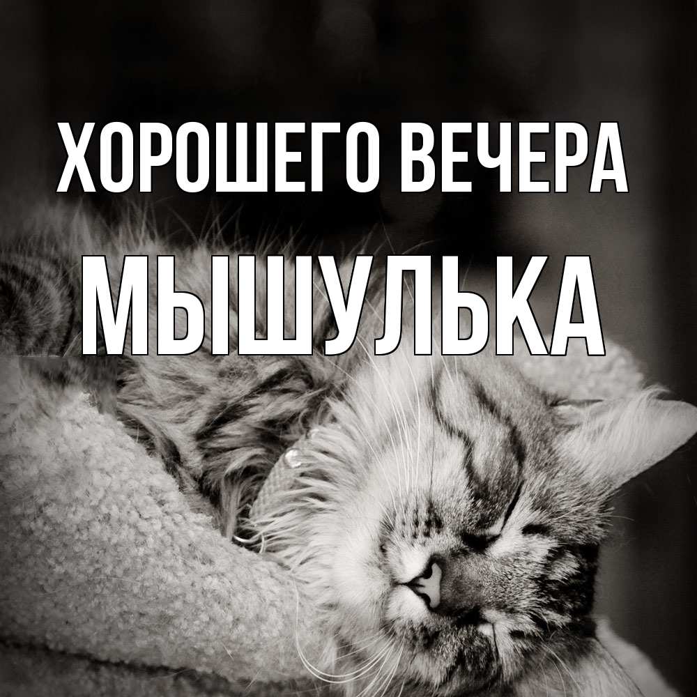 Картинка Хорошего вечера, мышулька