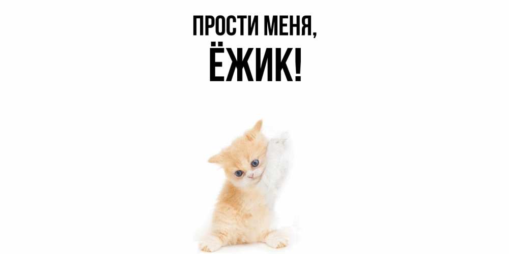 Картинка Прости меня, ёжик