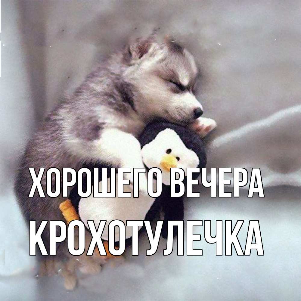 Картинка Хорошего вечера, крохотулечка