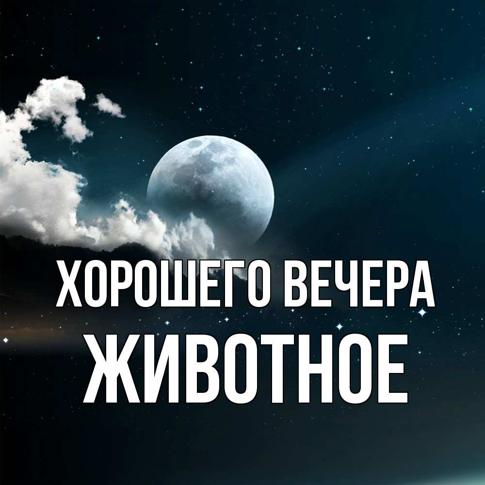 Картинка Хорошего вечера, животное