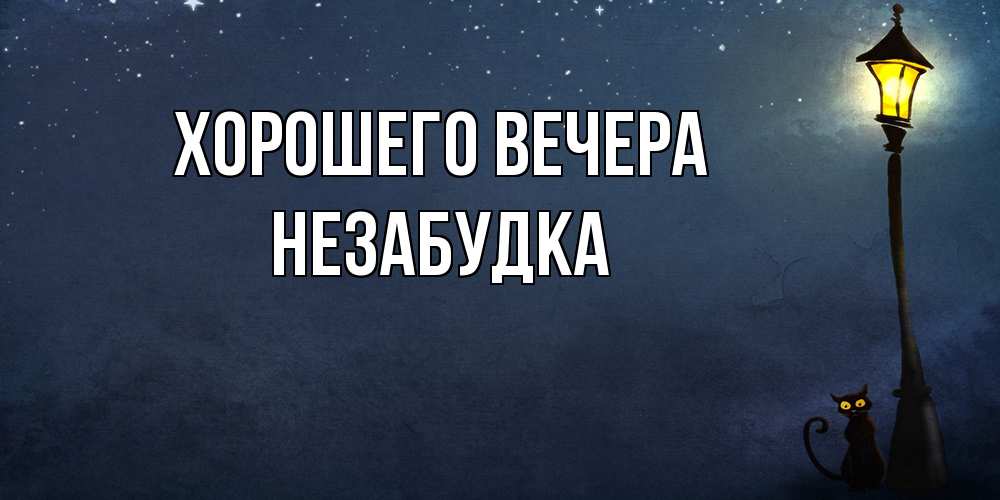 Открытка  для любимых и родных. незабудка, Хорошего вечера  