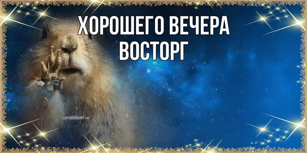 Открытка  для любимых и родных. восторг, Хорошего вечера  
