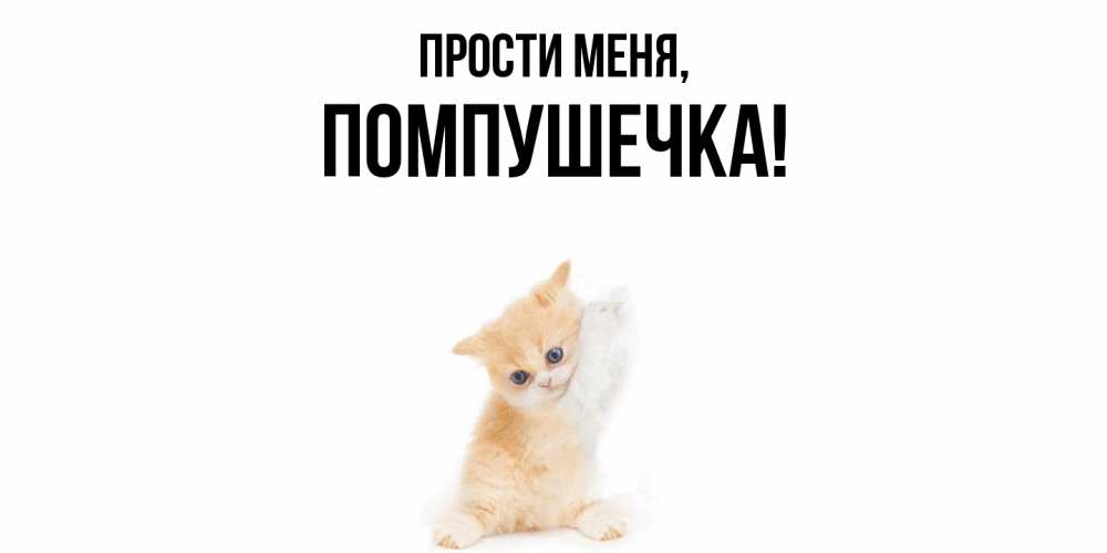 Открытка  для любимых и родных. помпушечка, Прости меня  