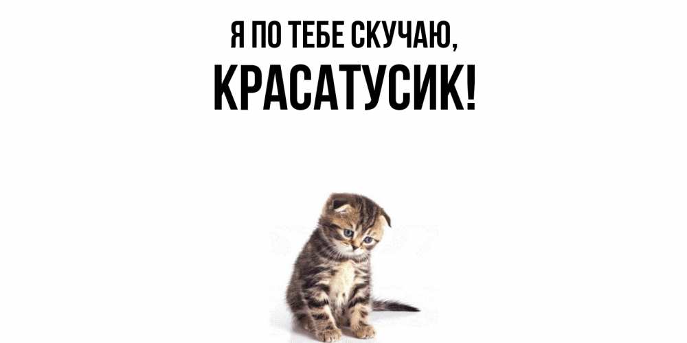 Картинка Я по тебе скучаю, красатусик