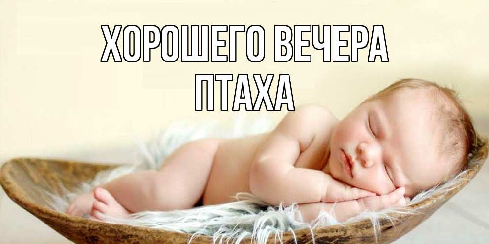 Открытка  для любимых и родных. птаха, Хорошего вечера  