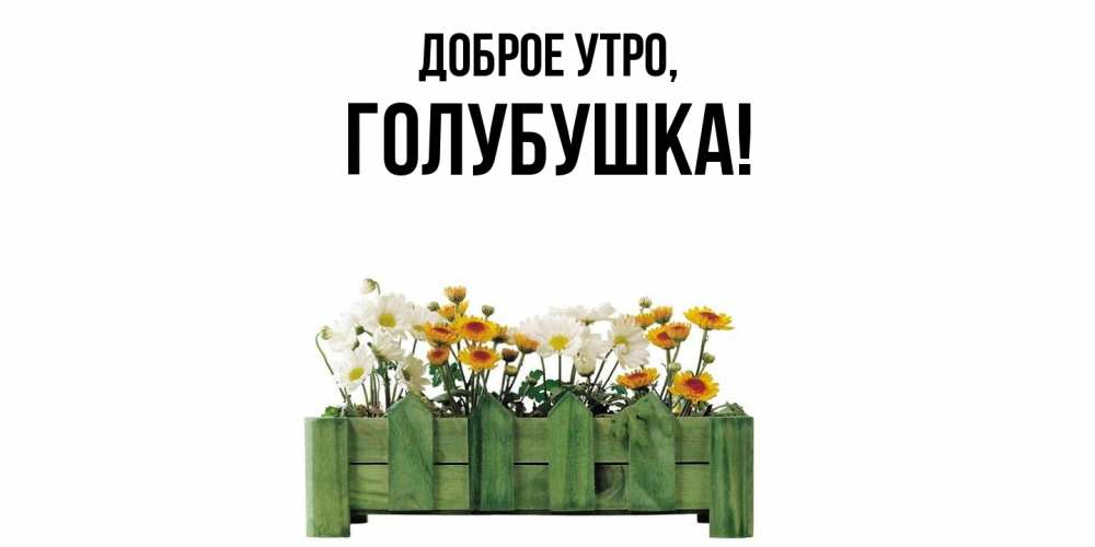 Картинка Доброе утро, голубушка