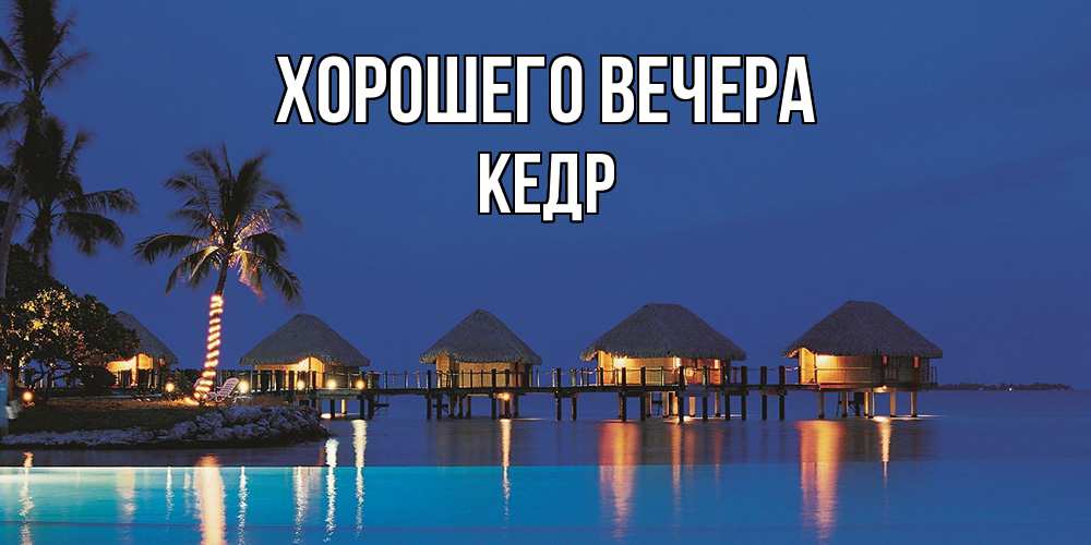Открытка  для любимых и родных. кедр, Хорошего вечера  