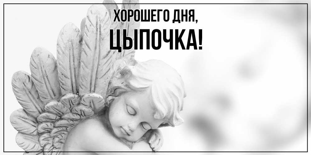 Открытка  для любимых и родных. цыпочка, Хорошего дня  