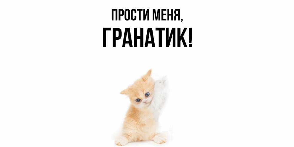 Открытка  для любимых и родных. гранатик, Прости меня  