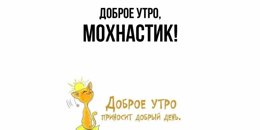 Открытка  для любимых и родных. мохнастик, Доброе утро  