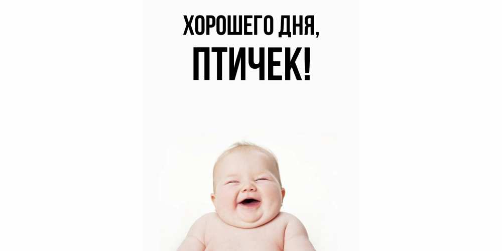 Открытка  для любимых и родных. птичек, Хорошего дня  