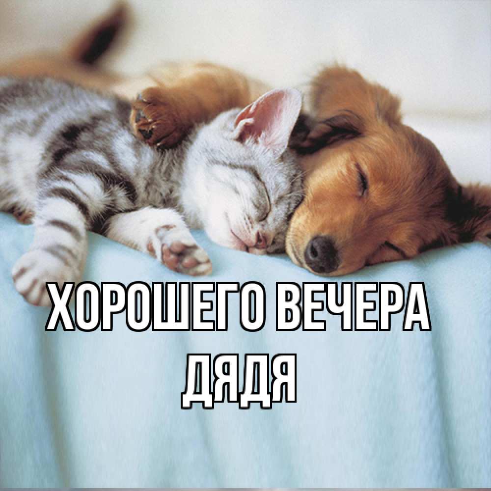 Открытка  для любимых и родных. Дядя, Хорошего вечера  