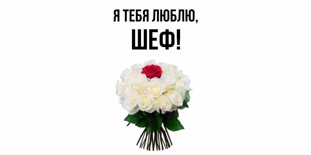 Картинка Я тебя люблю, Шеф