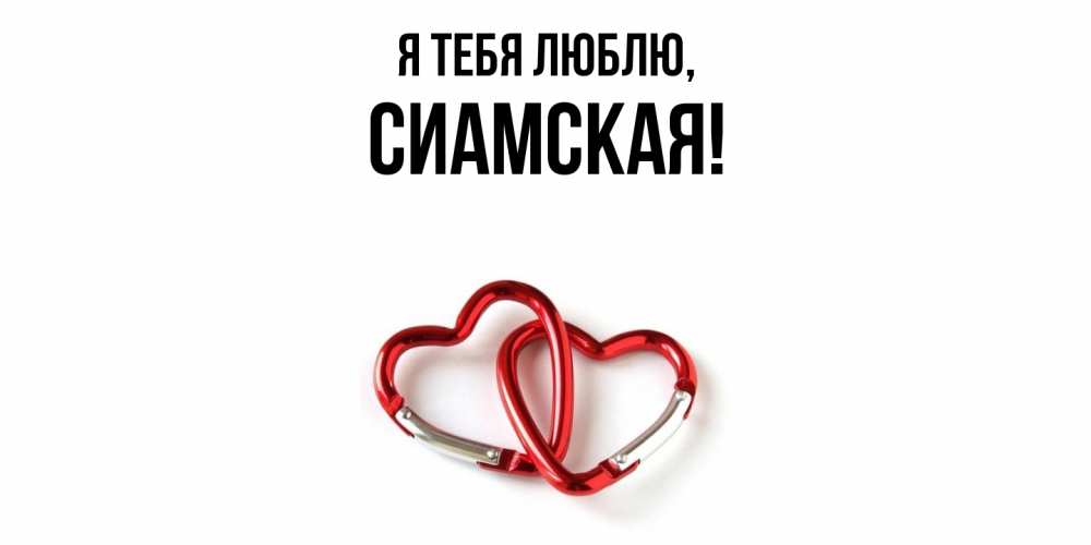 Открытка  для любимых и родных. сиамская, Я тебя люблю  