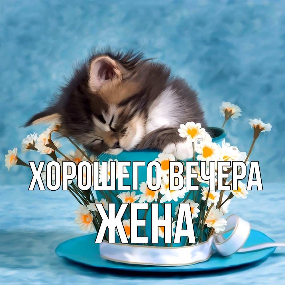 Картинка Хорошего вечера, Жена