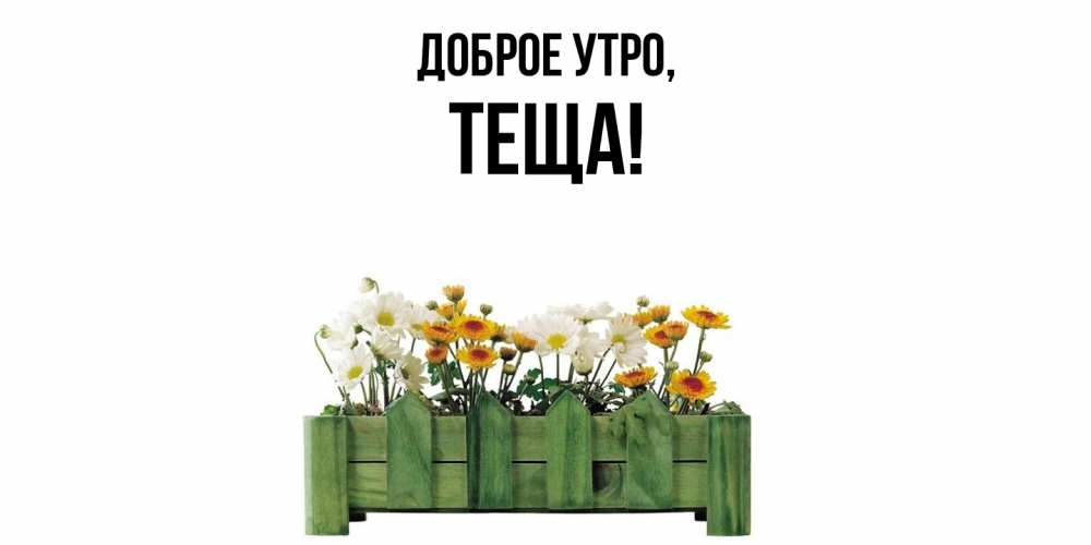 Картинка Доброе утро, Теща