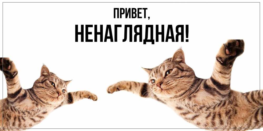 Открытка  для любимых и родных. ненаглядная, Привет  