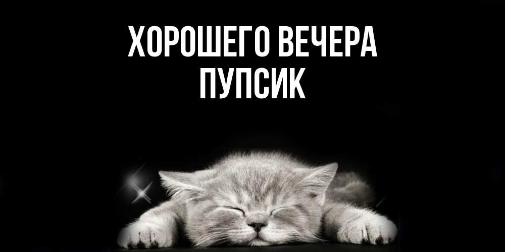 Открытка  для любимых и родных. пупсик, Хорошего вечера  