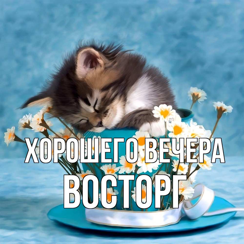 Картинка Хорошего вечера, восторг