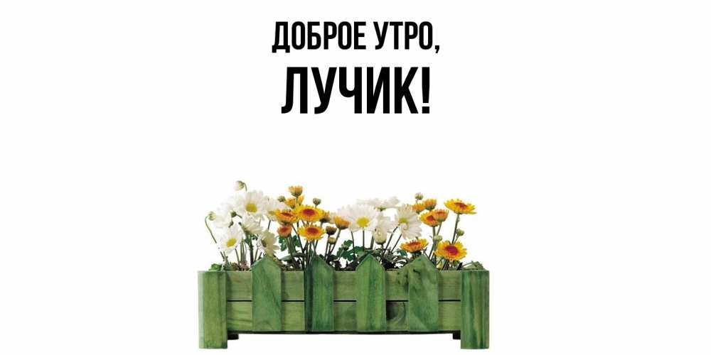 Открытка  для любимых и родных. лучик, Доброе утро  
