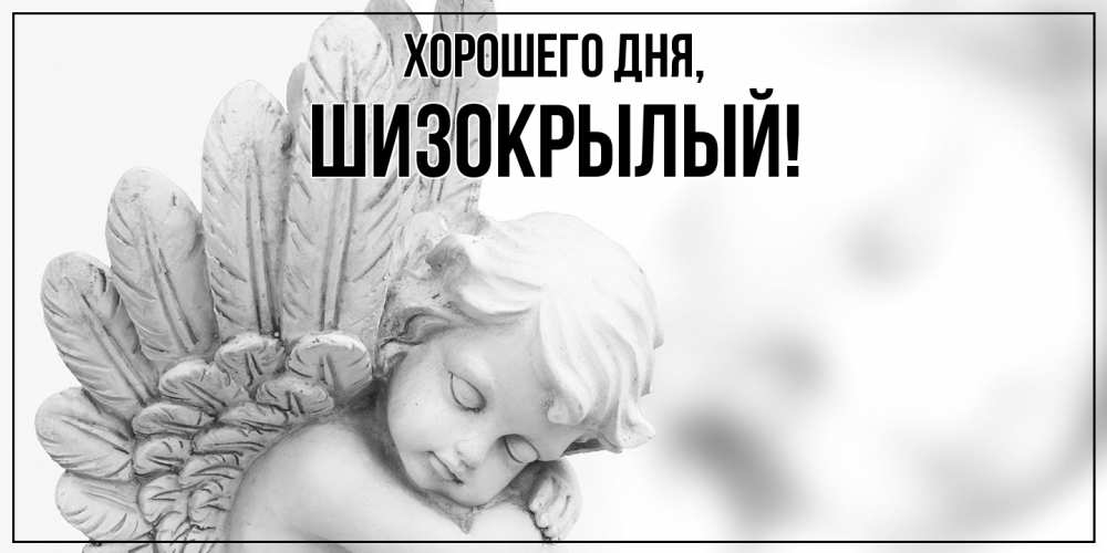 Открытка  для любимых и родных. шизокрылый, Хорошего дня  