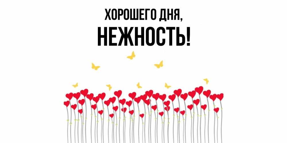 Открытка  для любимых и родных. нежность, Хорошего дня  