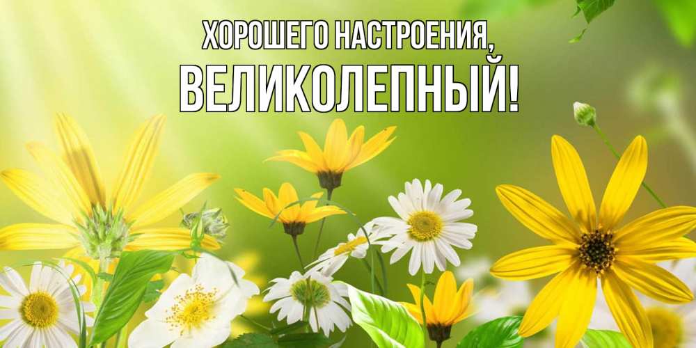 Открытка  для любимых и родных. великолепный, Хорошего настроения  