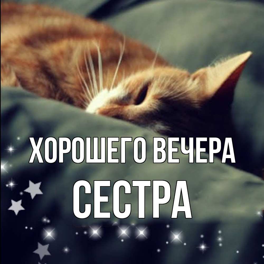 Картинка Хорошего вечера, Сестра