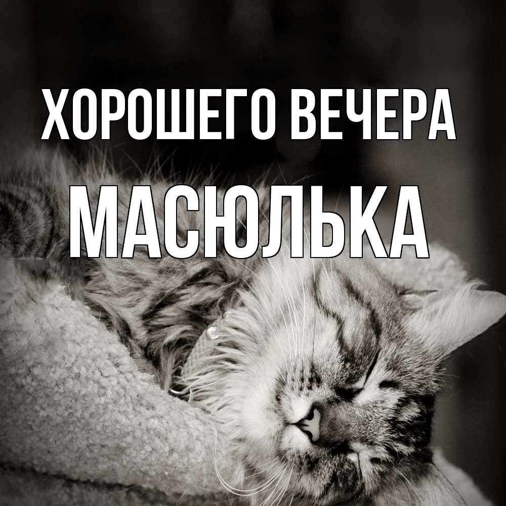 Картинка Хорошего вечера, масюлька