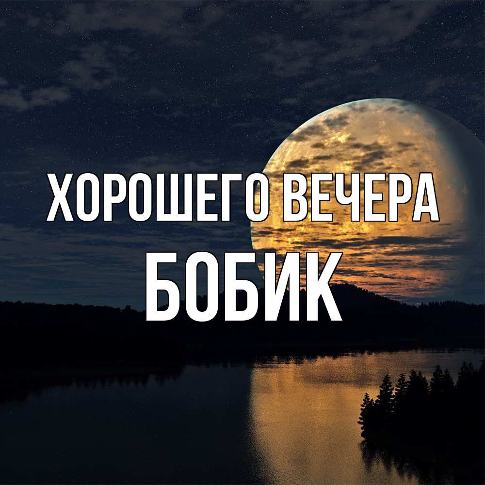 Открытка  для любимых и родных. бобик, Хорошего вечера  