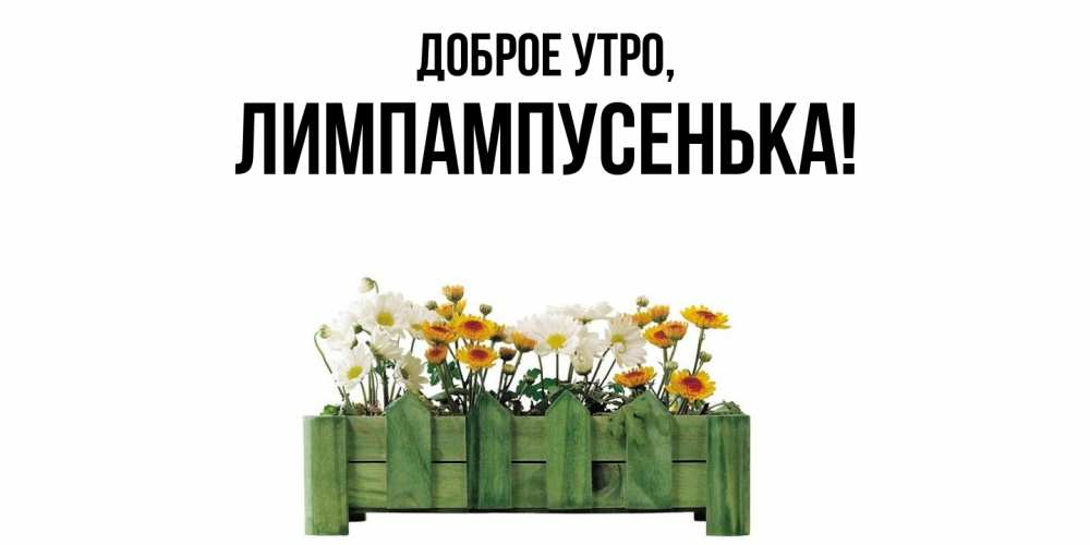 Открытка  для любимых и родных. лимпампусенька, Доброе утро  