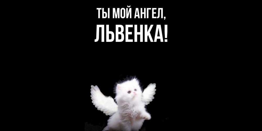 Открытка  для любимых и родных. львенка, Ты мой ангел  