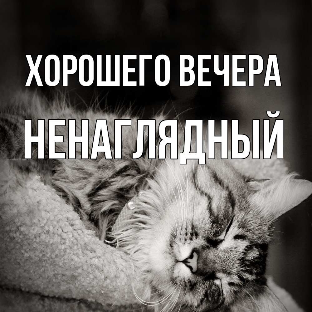 Картинка Хорошего вечера, ненаглядный