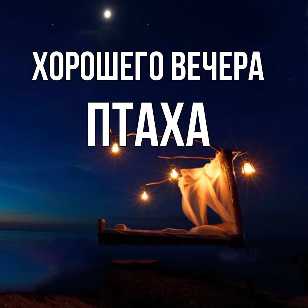 Картинка Хорошего вечера, птаха