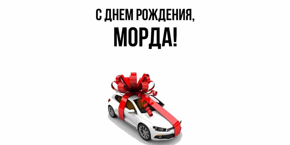 Открытка  для любимых и родных. морда, С днем рождения  