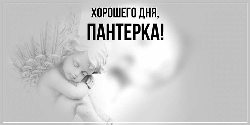 Открытка  для любимых и родных. пантерка, Хорошего дня  