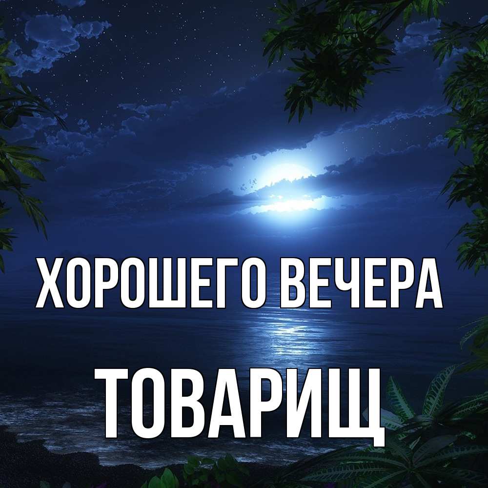 Картинка Хорошего вечера, Товарищ