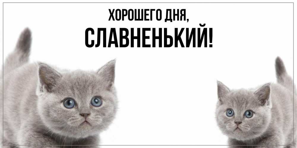 Открытка  для любимых и родных. славненький, Хорошего дня  