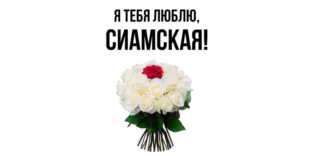 Картинка Я тебя люблю, сиамская