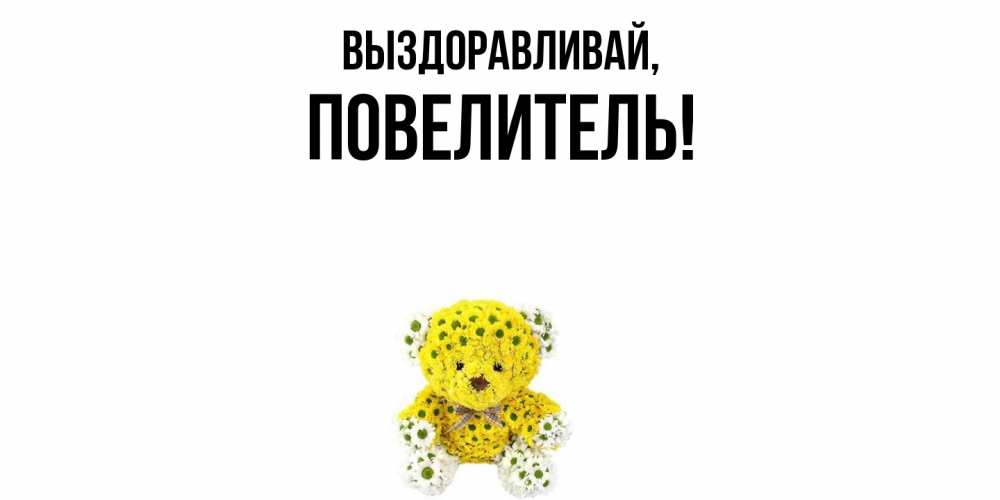 Картинка Выздоравливай, Повелитель