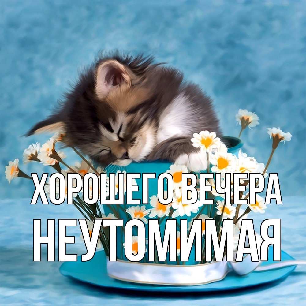 Картинка Хорошего вечера, неутомимая