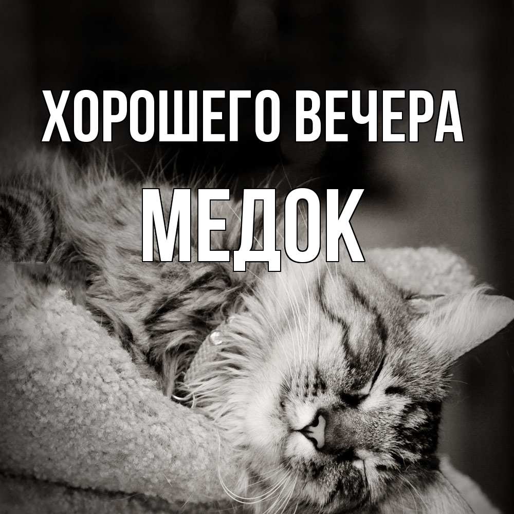 Открытка с именем, медок, Хорошего вечера