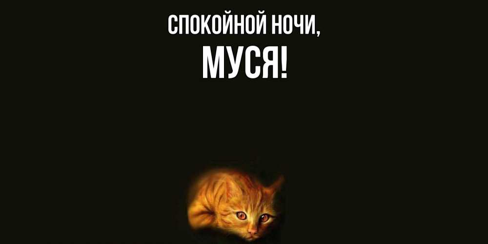 Картинка Спокойной ночи, муся