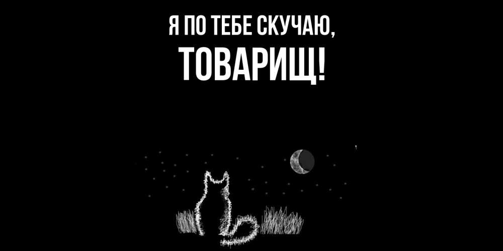 Картинка Я по тебе скучаю, Товарищ