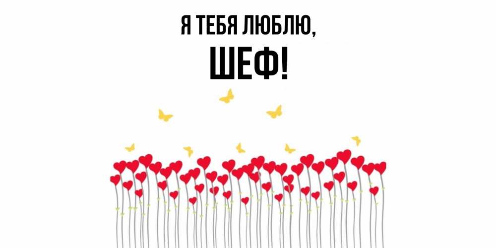 Картинка Я тебя люблю, Шеф