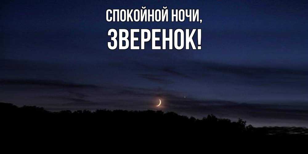 Открытка  для любимых и родных. звеpенок, Спокойной ночи  