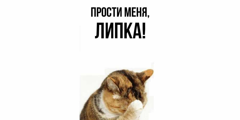 Открытка  для любимых и родных. липка, Прости меня  