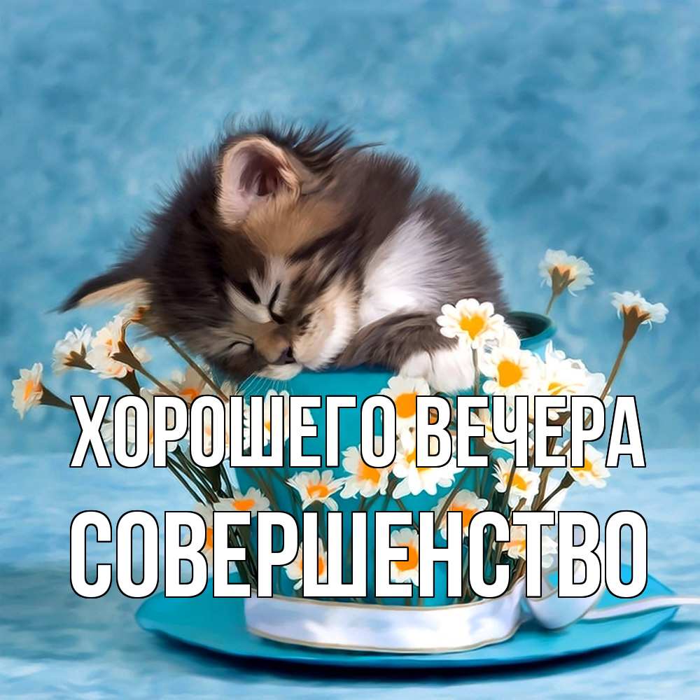 Открытка  для любимых и родных. совершенство, Хорошего вечера  