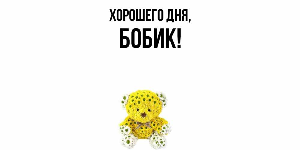 Картинка Хорошего дня, бобик