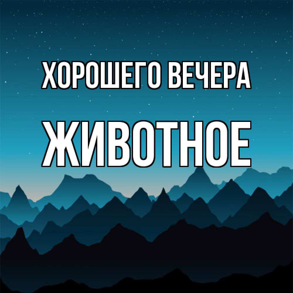 Открытка  для любимых и родных. животное, Хорошего вечера  